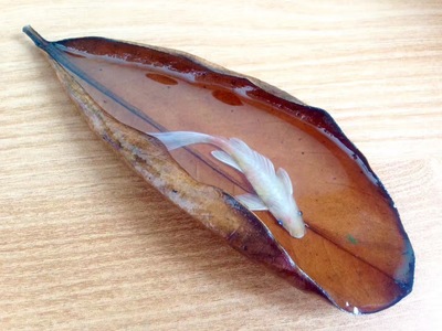 樹脂畫【一葉知秋】